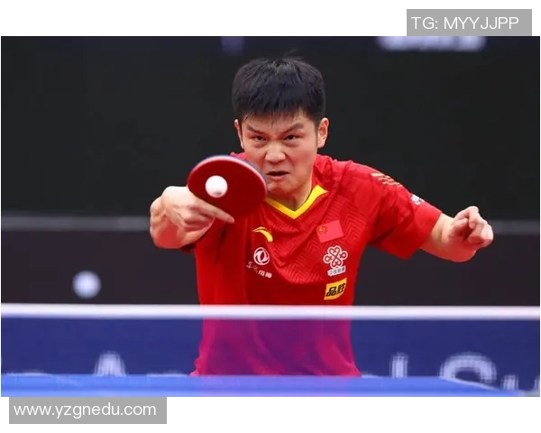 樊振东畅谈德国德甲之行体验感受欧洲乒乓文化的独特魅力与启发